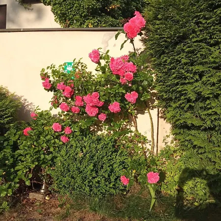 Pansiyon Iwona Budget - Hostelove With Private Bathrooms