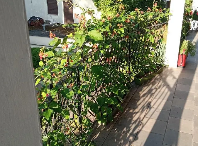 Quarto em Acomodações Particulares Iwona - Budget With Private Bathrooms Sopot