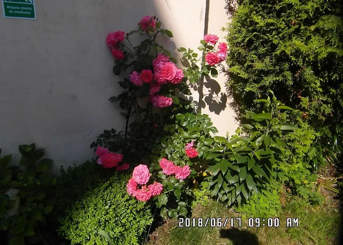 Iwona - Budget With Private Bathrooms *