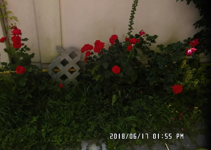 Quarto em Acomodações Particulares Iwona - Budget With Private Bathrooms *