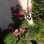 Iwona Budget - Hostelove Rooms With Private Bathrooms *