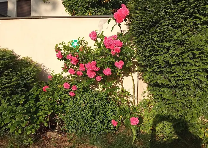 Séjour chez l'habitant Iwona - Budget With Private Bathrooms