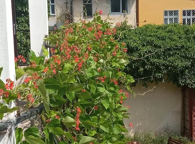 Iwona - Budget With Private Bathrooms Séjour chez l'habitant